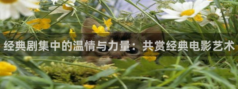97在线观看 青柠影院免费观看：经典剧集中的温情与力量：共赏经典电影艺术