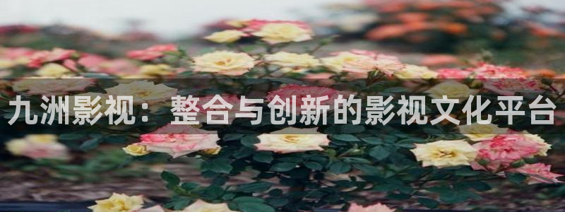 青柠影院2023年上映的电视剧：九洲影视：整合与创新的影视文化平台
