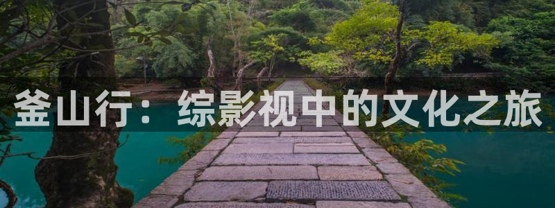 青柠影视在线观看免费高清电视：釜山行：综影视中的文化之旅