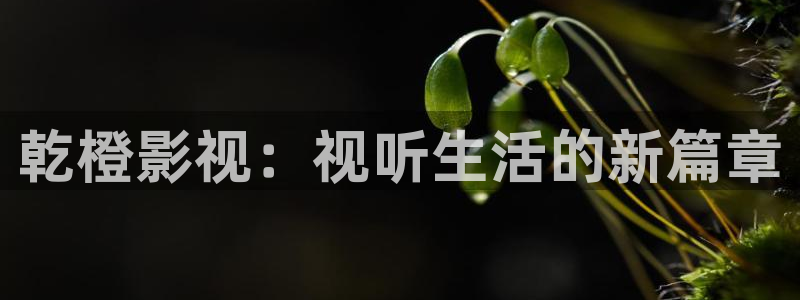 青柠影院在线观看高清电视剧荣耀：乾橙影视：视听生活的新篇章