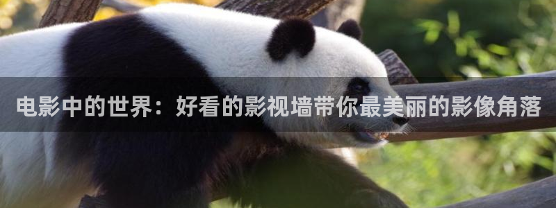 八戒青柠影院：电影中的世界：好看的影视墙带你最美丽的影像角落