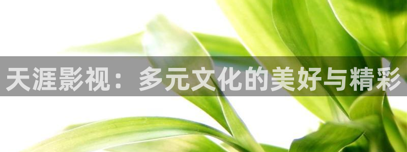 青柠影音在线：天涯影视：多元文化的美好与精彩