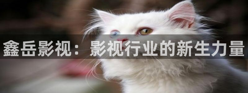 青柠影院免费观看电视剧高清视频：鑫岳影视：影视行业的新生力量
