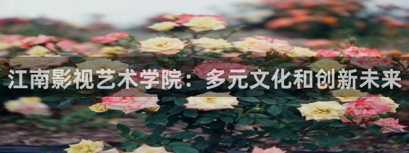 青柠影音：江南影视艺术学院：多元文化和创新未来