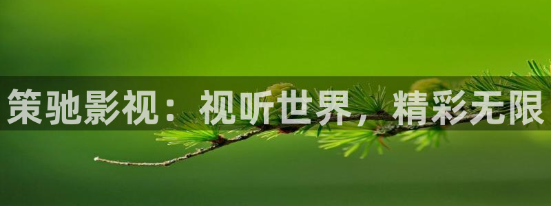 青柠影院在线视频：策驰影视：视听世界，精彩无限